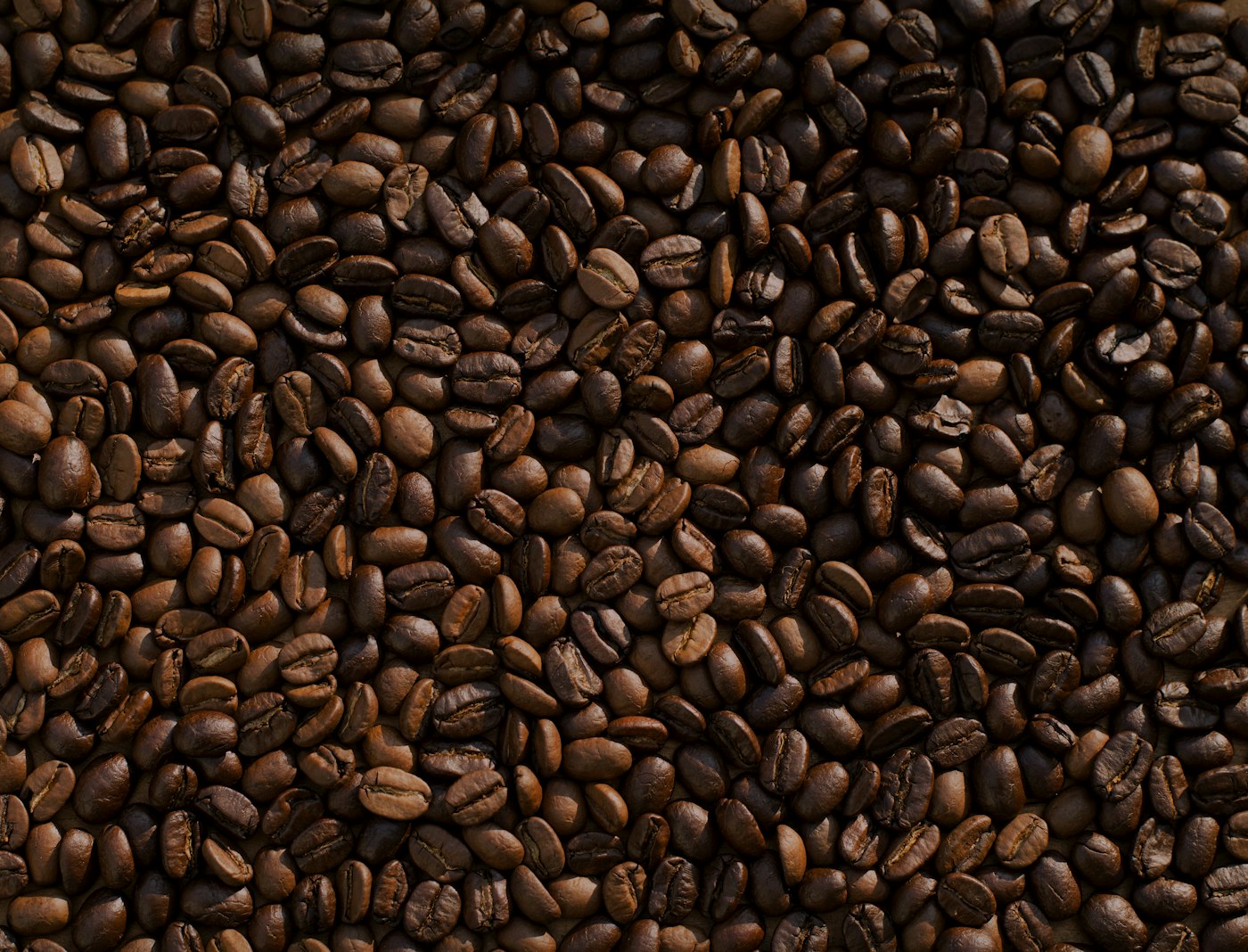Roasted beans for the RoastSpark café menu